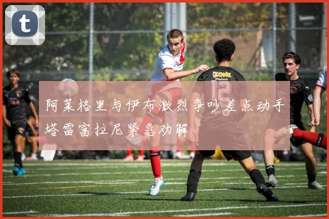 阿莱格里与伊布激烈争吵差点动手塔雷富拉尼紧急劝解