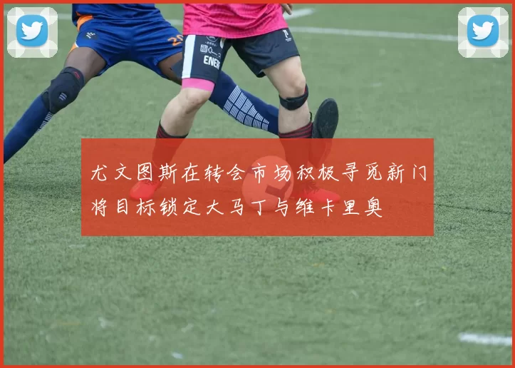 尤文图斯在转会市场积极寻觅新门将目标锁定大马丁与维卡里奥
