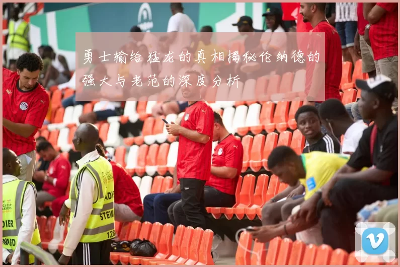勇士输给猛龙的真相揭秘伦纳德的强大与老范的深度分析